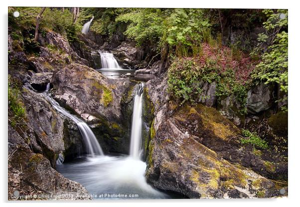 Pecca Falls Acrylic by Chris Frost