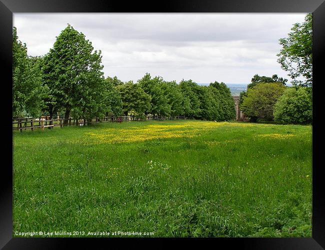 Buttercups in the meadow Framed Print by Lee Mullins