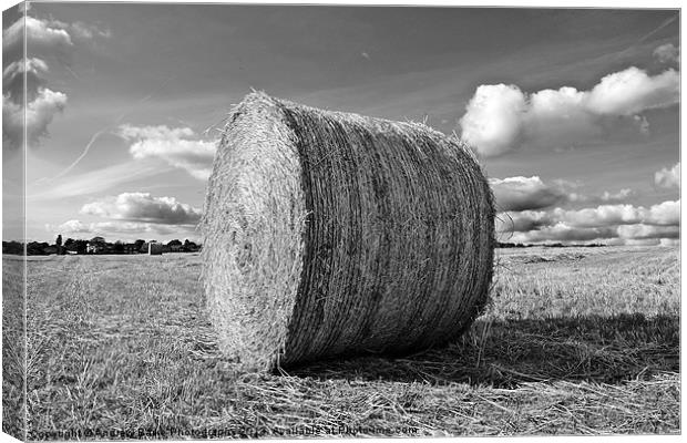 Round Straw Bales Canvas Print by A B