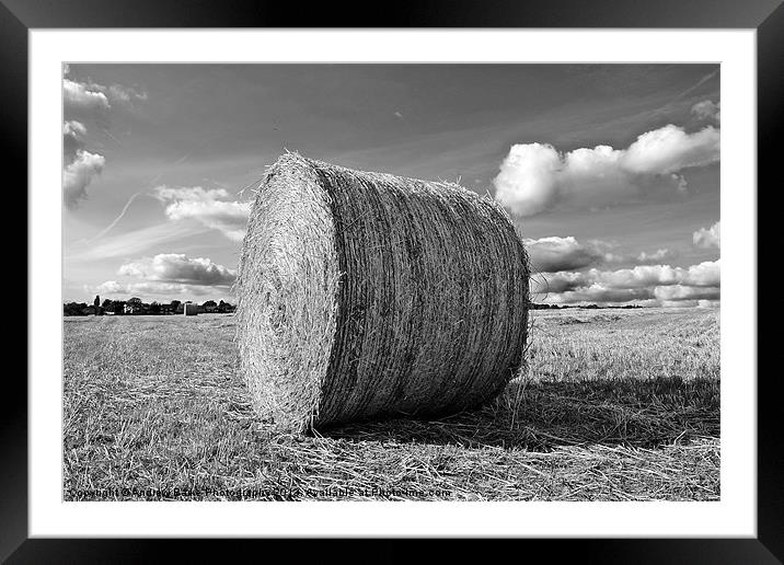 Round Straw Bales Framed Mounted Print by A B