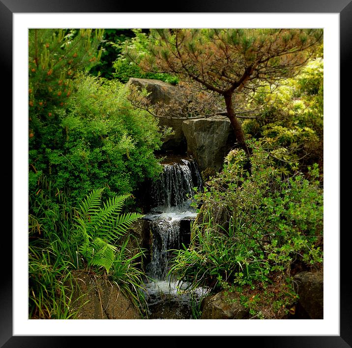 nature at its best Framed Mounted Print by dale rys (LP)
