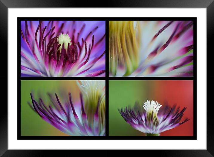 Four Views Framed Mounted Print by Chris Owen