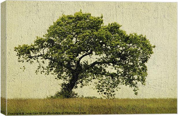 Beautiful Tree Canvas Print by Julie Coe