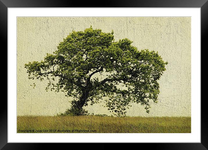 Beautiful Tree Framed Mounted Print by Julie Coe