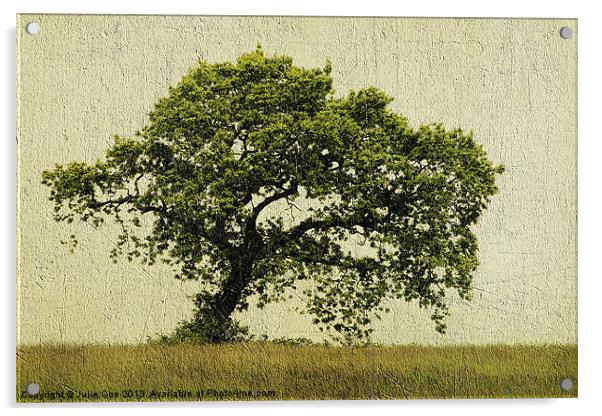 Beautiful Tree Acrylic by Julie Coe
