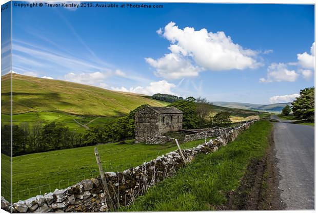 Along a Yorks Dales Road Canvas Print by Trevor Kersley RIP