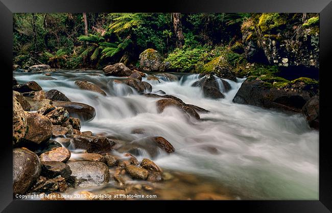 Natural Smoother Framed Print by Mark Lucey
