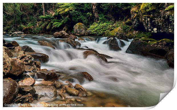 Natural Smoother Print by Mark Lucey