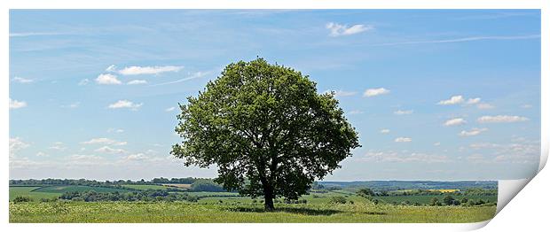 Lone Tree Print by Dean Powell-Perry