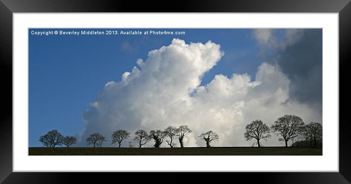 Tree Skyline Framed Mounted Print by Beverley Middleton