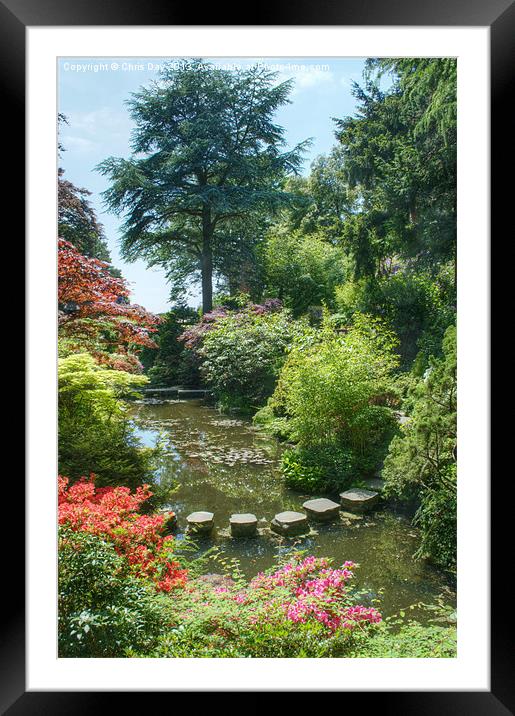 Japanese Garden Framed Mounted Print by Chris Day