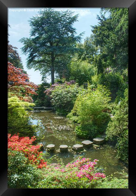 Japanese Garden Framed Print by Chris Day