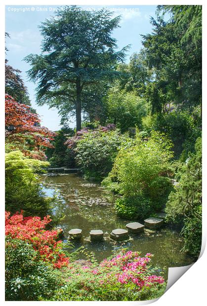 Japanese Garden Print by Chris Day