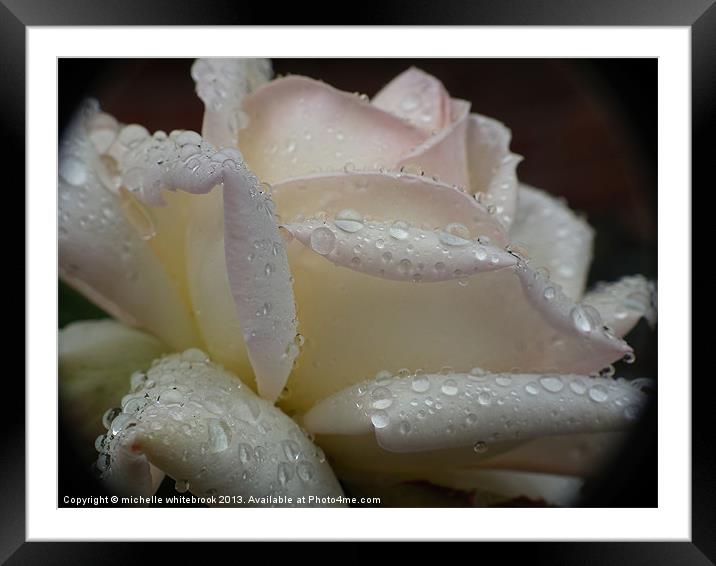 Rain and Roses Framed Mounted Print by michelle whitebrook