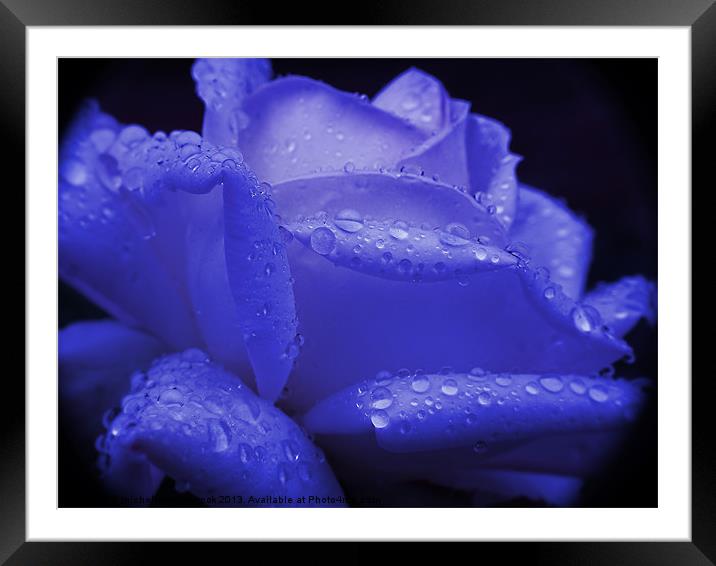 Rose and Rain Framed Mounted Print by michelle whitebrook