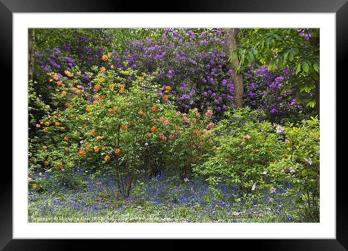 Riot of Colour Framed Mounted Print by Michelle Orai