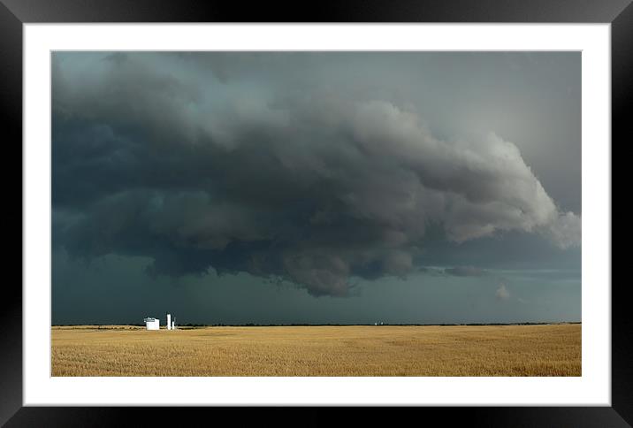 Hail Texas Framed Mounted Print by mark humpage