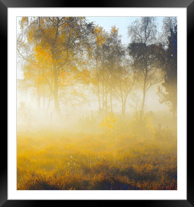 Morning Mist Wisley Common Framed Mounted Print by Clive Eariss