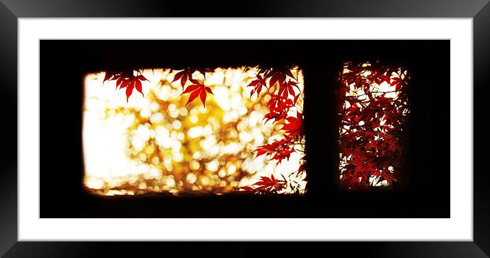 Red tree seen through the window Framed Mounted Print by magda barcentewicz