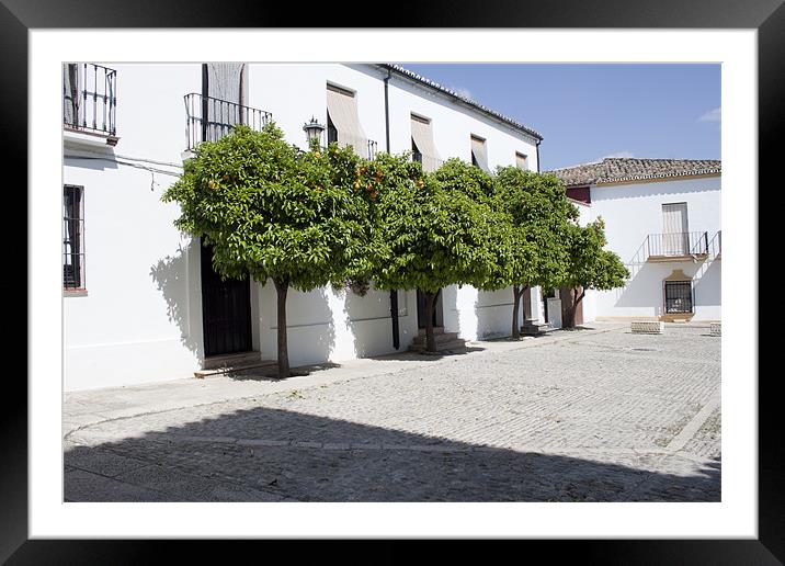 Orange Trees in Ronda Framed Mounted Print by James Woodward