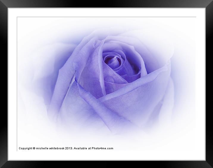 Delicate Rose Framed Mounted Print by michelle whitebrook