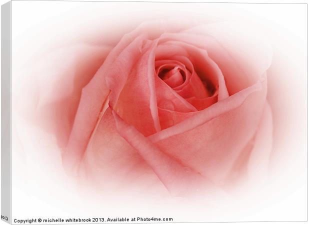 Delicate Pink Canvas Print by michelle whitebrook