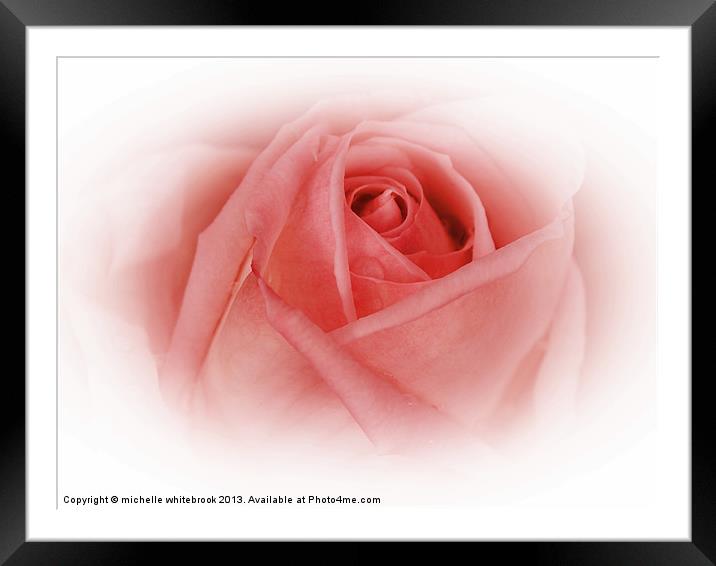 Delicate Pink Framed Mounted Print by michelle whitebrook