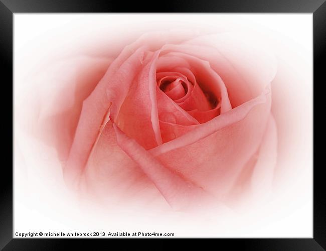 Delicate Pink Framed Print by michelle whitebrook