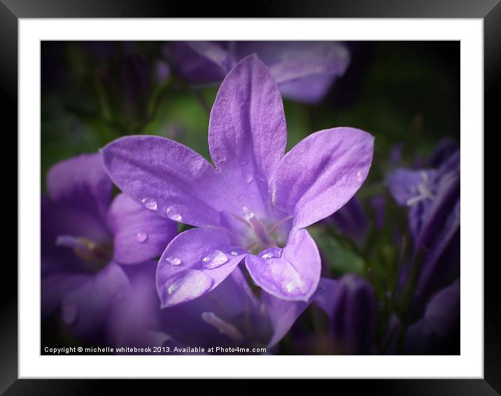 Flowers in the rain Framed Mounted Print by michelle whitebrook