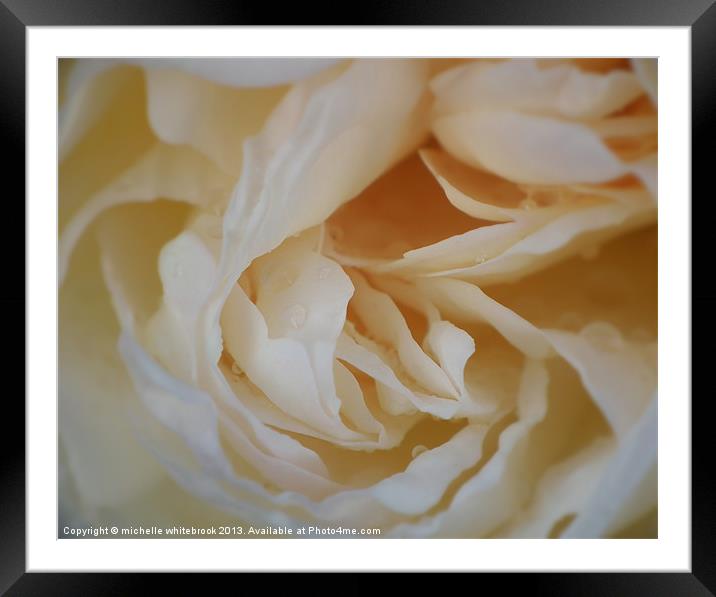 Dreamy Rose Framed Mounted Print by michelle whitebrook