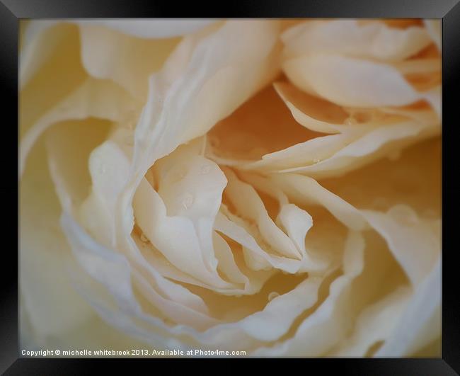 Dreamy Rose Framed Print by michelle whitebrook