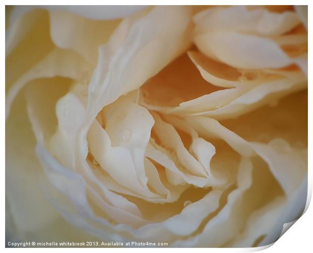 Dreamy Rose Print by michelle whitebrook