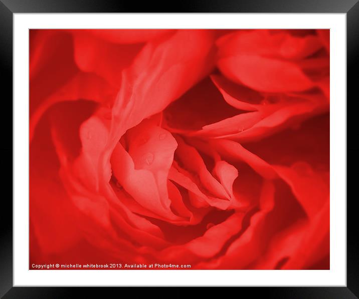 Dreamy Rose 4 Framed Mounted Print by michelle whitebrook