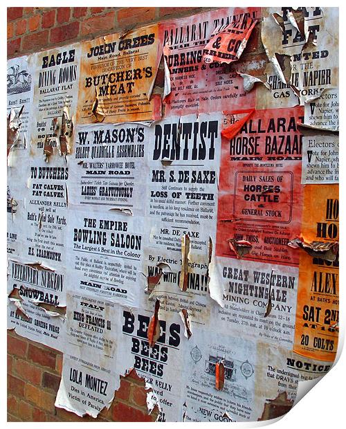 Peeling posters Ballarat Victoria Australia Print by David Worthington