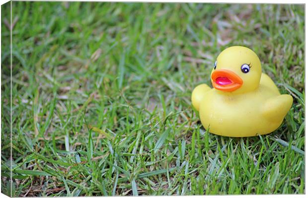 Like a duck to grass Canvas Print by Dean Powell-Perry