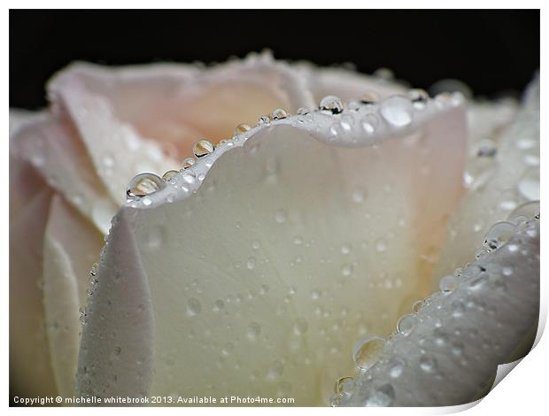 Watered Rose Print by michelle whitebrook