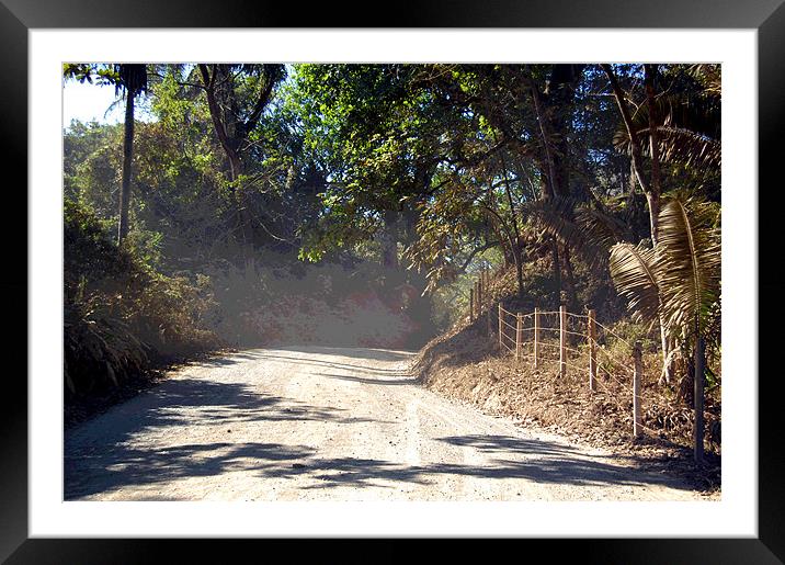 Posterized Along the Dusty Road Framed Mounted Print by james balzano, jr.