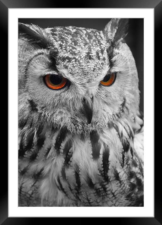 Hunters Eyes Framed Mounted Print by Kevin Warner