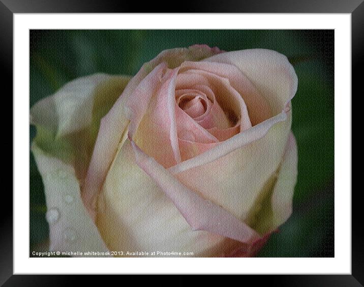 Old Rose Framed Mounted Print by michelle whitebrook