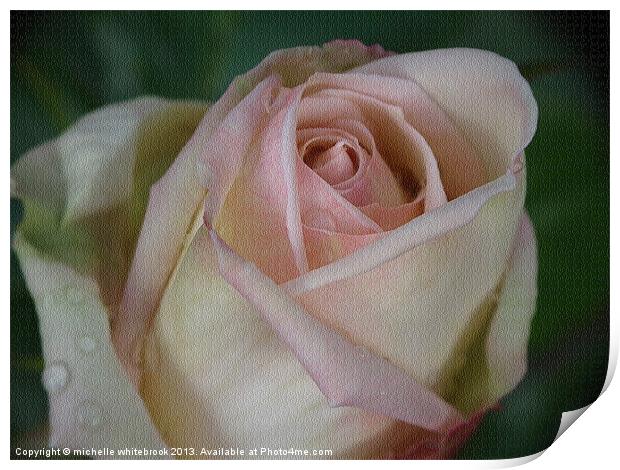 Old Rose Print by michelle whitebrook