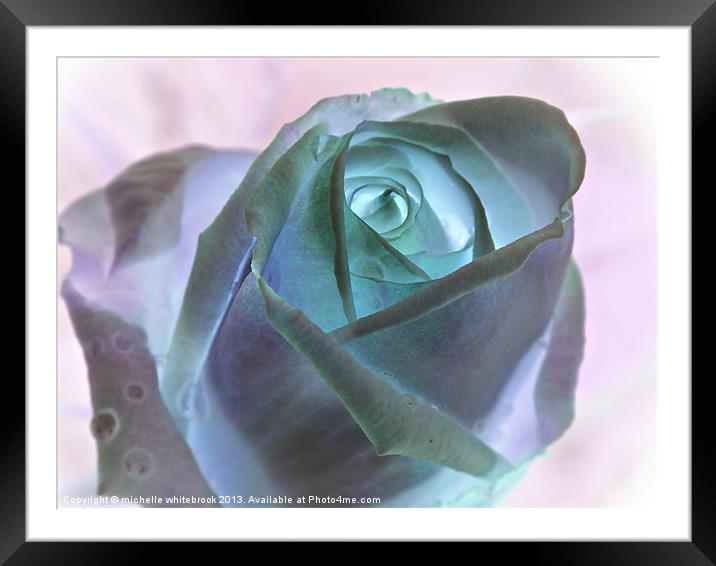 Invert Rose Framed Mounted Print by michelle whitebrook