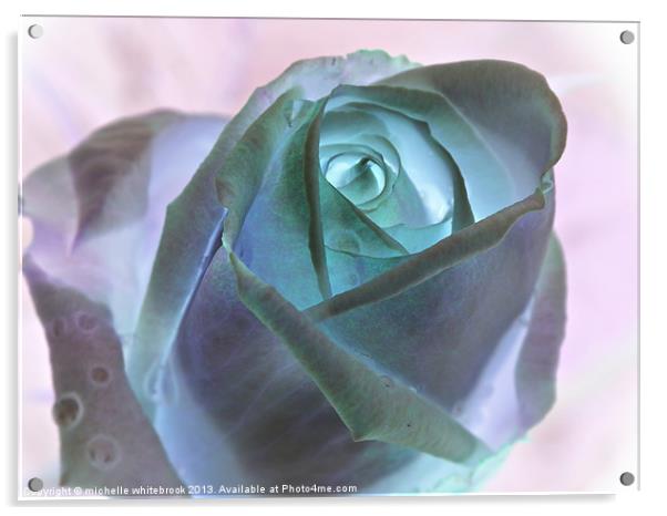 Invert Rose Acrylic by michelle whitebrook