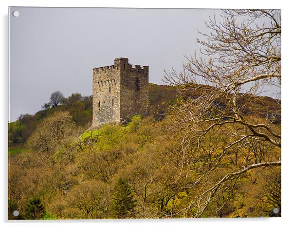 Dolwyddelan Castle, Conwy, Wales, UK Acrylic by Mark Llewellyn