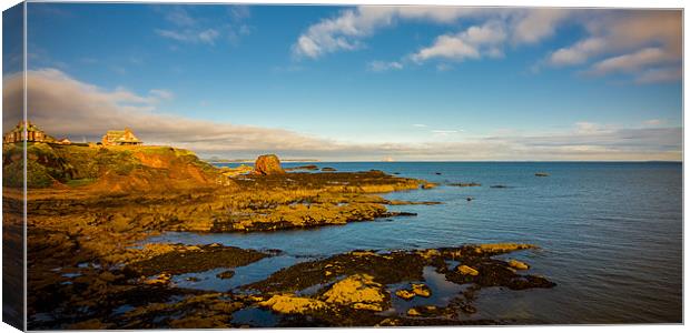 Bass Rock, Dunbar, Scotland, UK Canvas Print by Mark Llewellyn