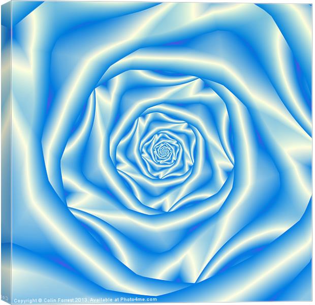 Blue Rose Spiral Canvas Print by Colin Forrest