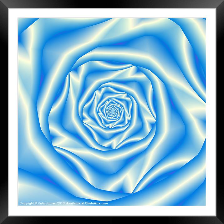 Blue Rose Spiral Framed Mounted Print by Colin Forrest