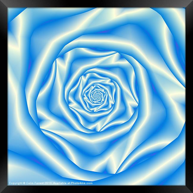 Blue Rose Spiral Framed Print by Colin Forrest