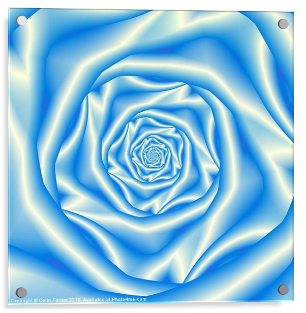 Blue Rose Spiral Acrylic by Colin Forrest