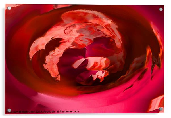 Digital  womb Acrylic by Mark Cake