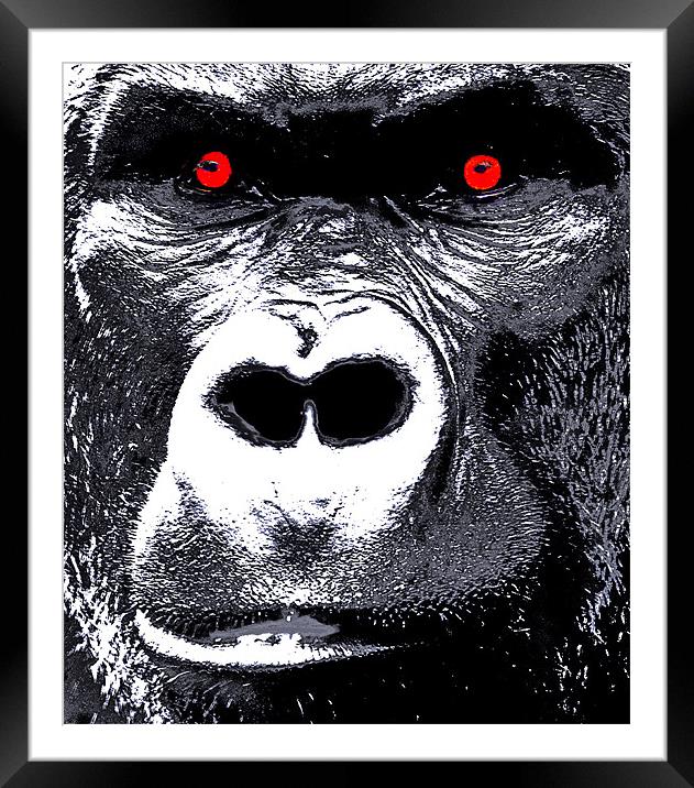 In The eyes Of A Gorilla Framed Mounted Print by Mike Gorton